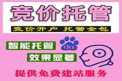 百度推广费用ROI提升策略与案例